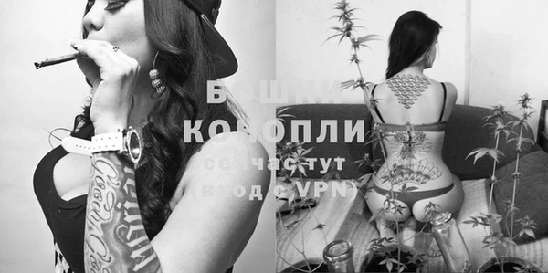 mdpv Арсеньев